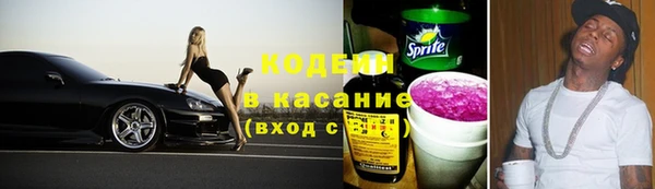 молекула духа Алзамай