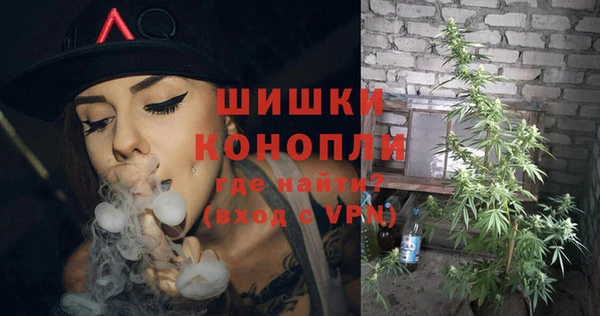 молекула духа Алзамай